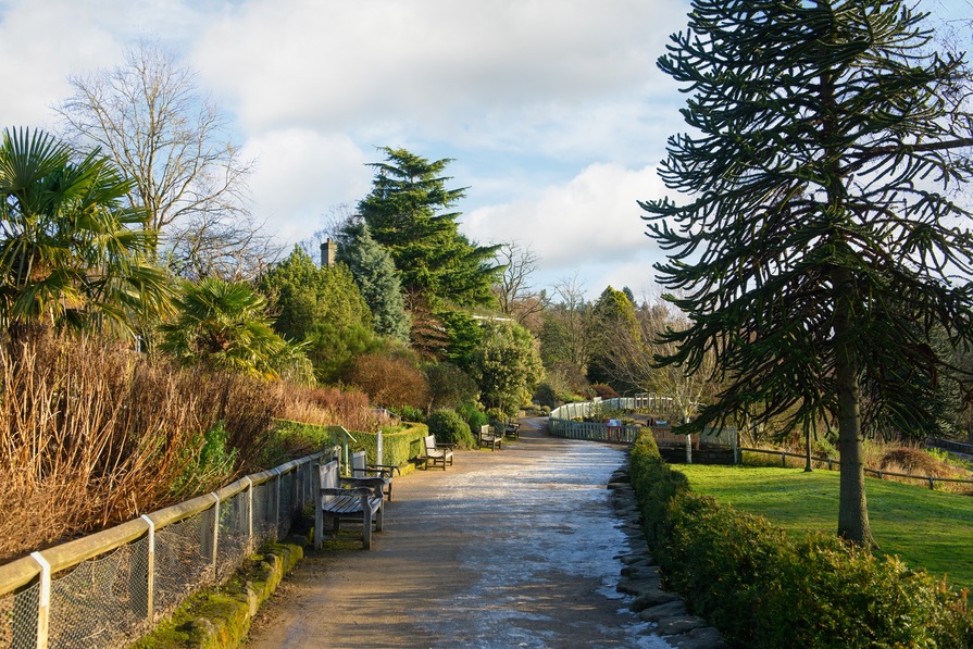 Barratt @ Torrance Park — photo 9