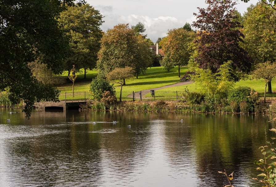 Silk Waters Green — photo 8