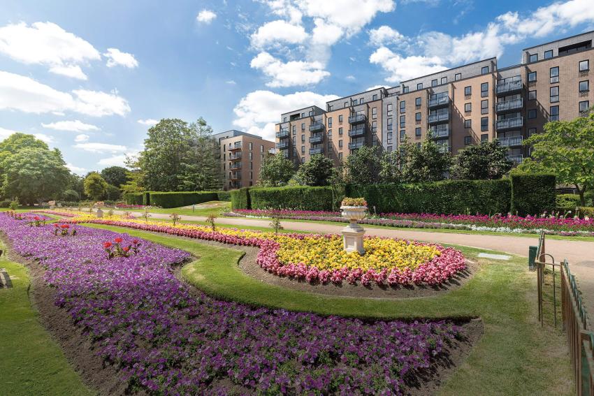 Copperhouse Green — photo 18