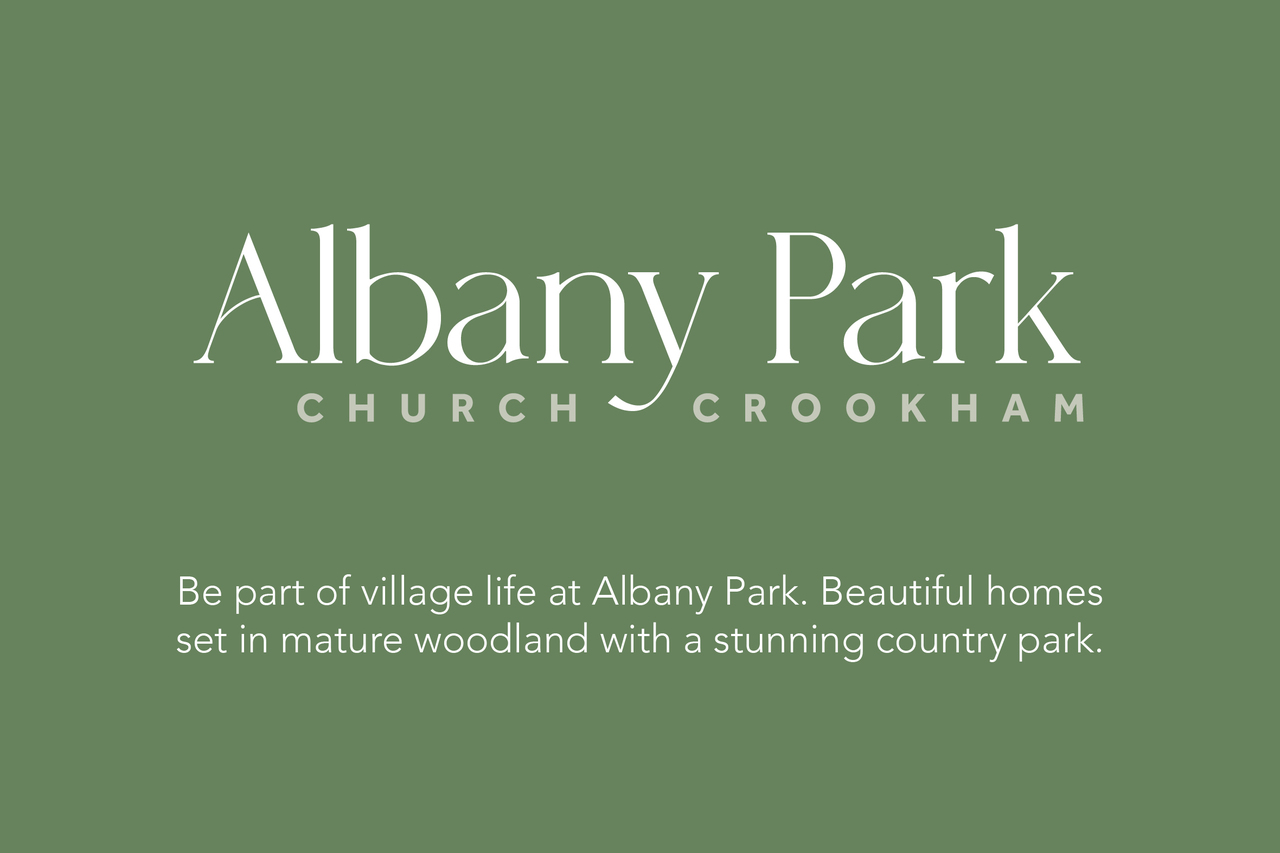 Albany Park — photo 4