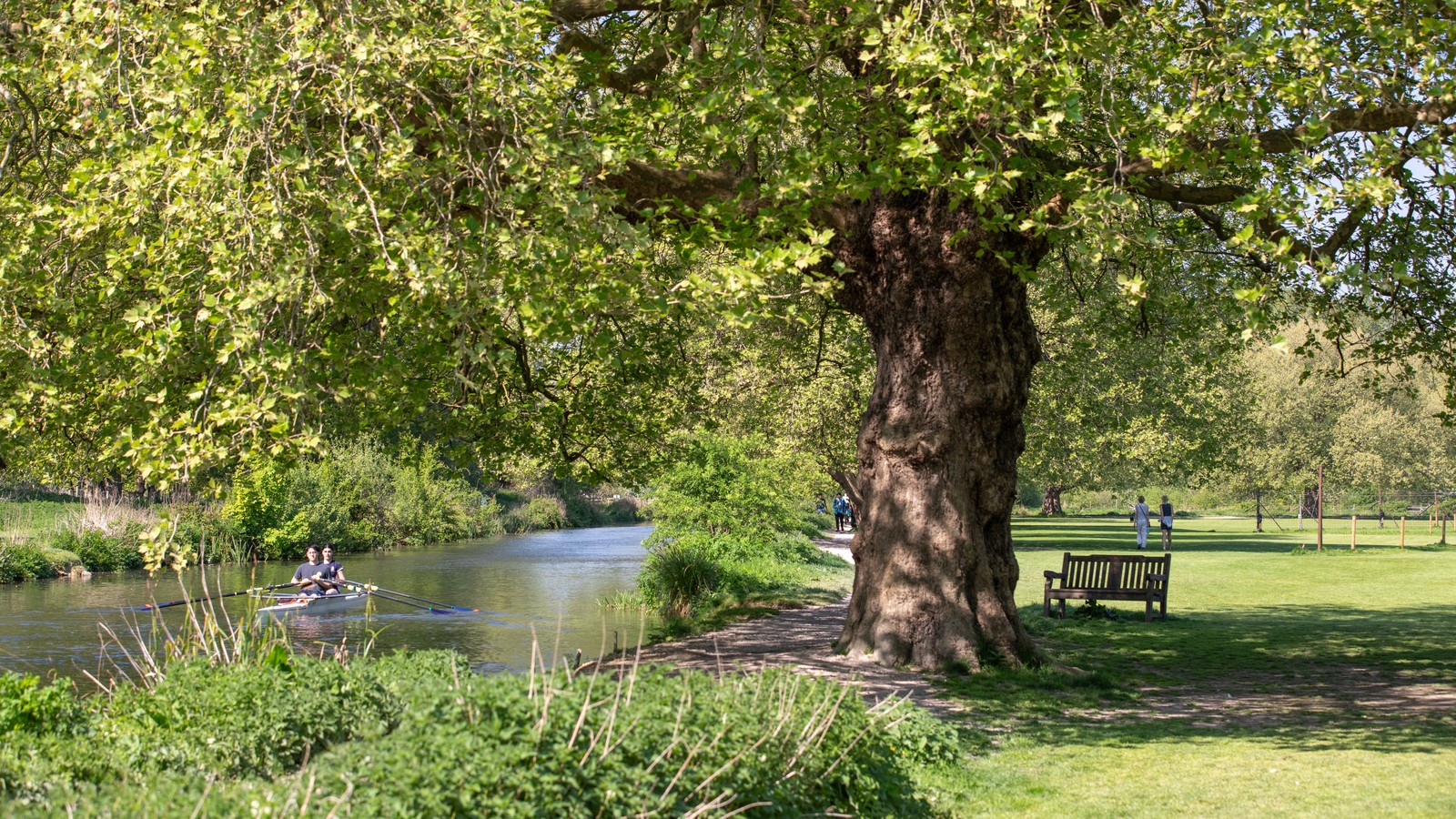 Kings Barton at Monarchs Mead — photo 9