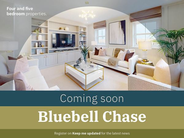 Bluebell Chase, Blackburn, Lancashire