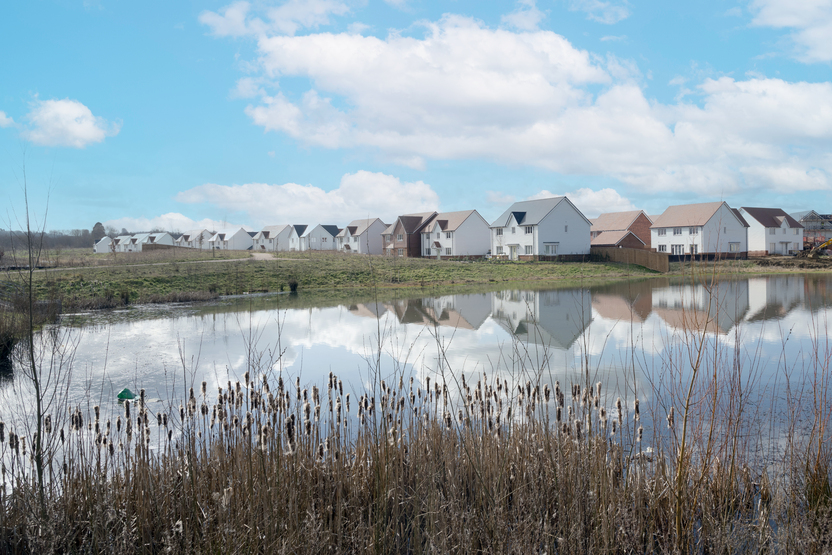 The Burrows — photo 8