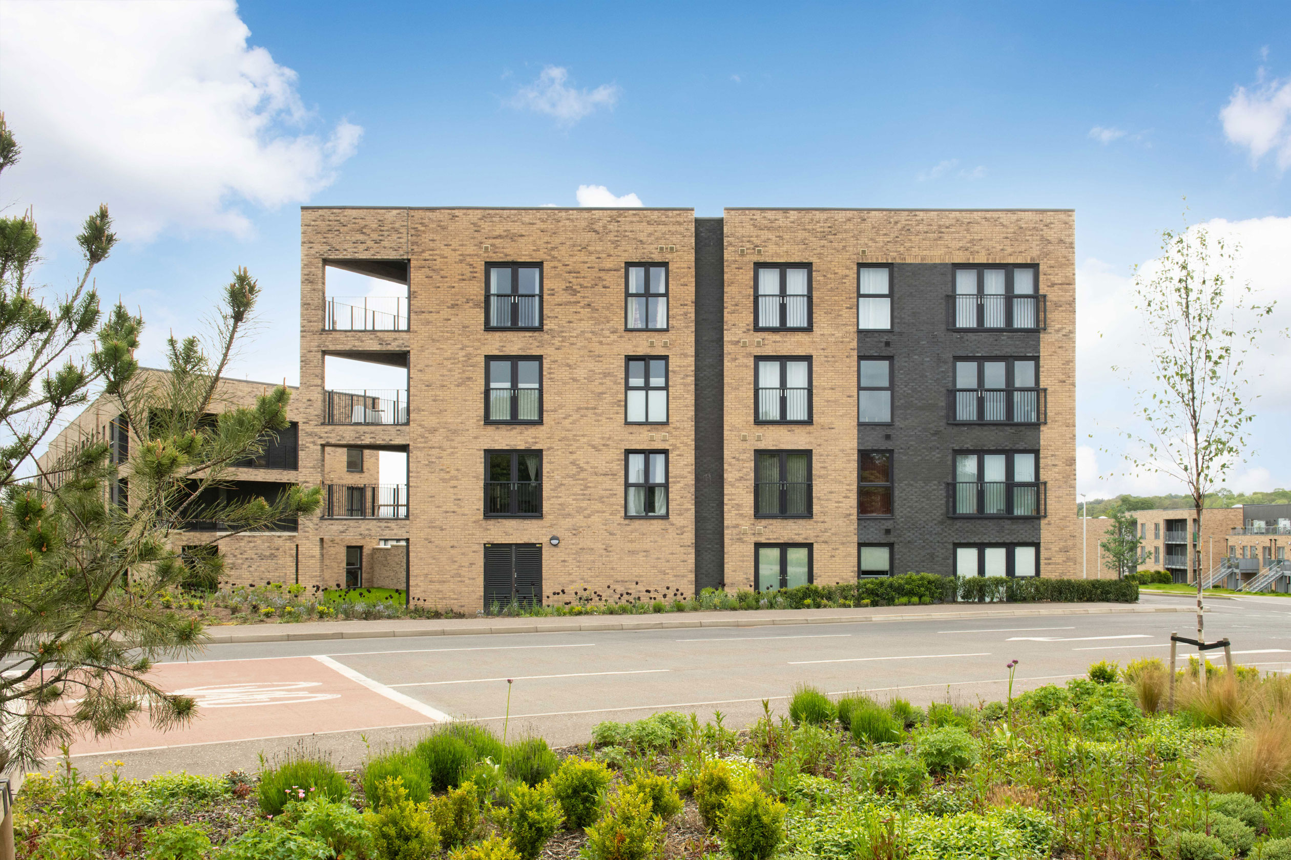 Cammo Meadows Apartments — photo 5