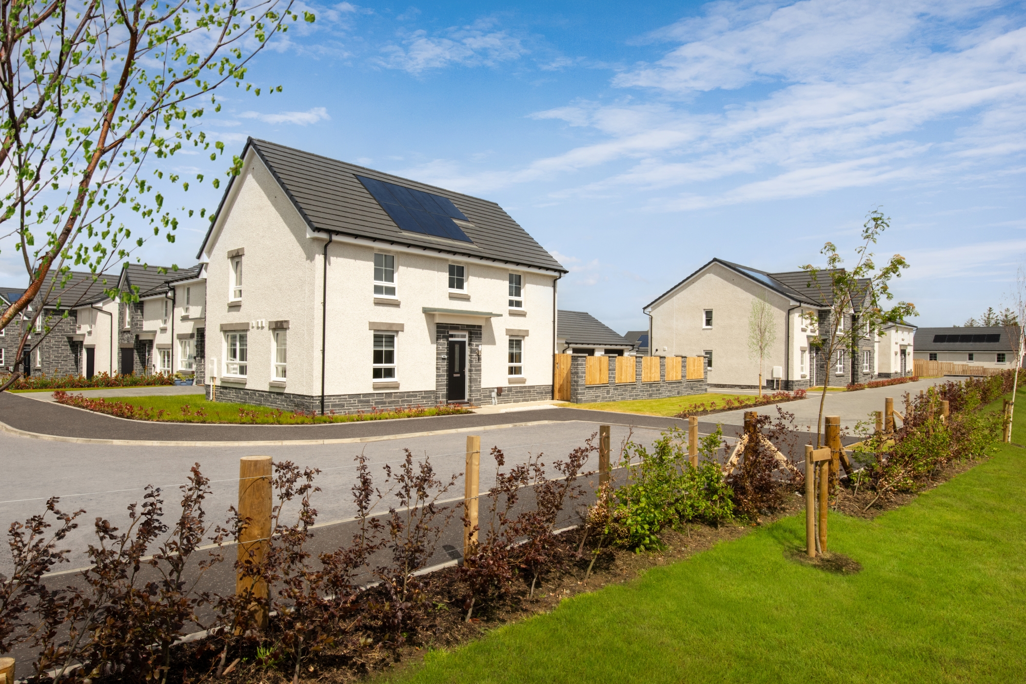 DWH @ Eaglesham View — photo 5