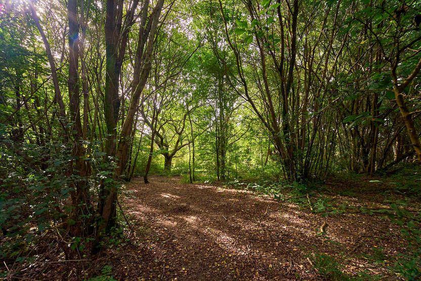 Boorley Park, Boorley Green — photo 12
