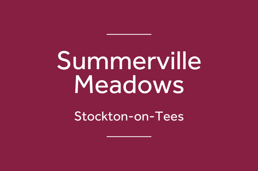 Summerville Meadows, Stockton-on-Tees, County Durham — photo 1