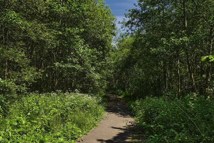 Cwrt Sirhowy — photo 5