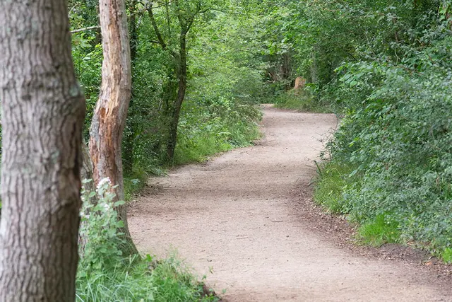 Boorley Gardens, photo 3