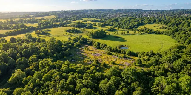 Deer Park, Farnham, Surrey, photo 1
