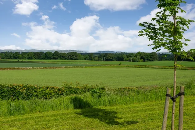 Huntingtower, Ruthvenfield, PERTH & KINROSS, photo 1