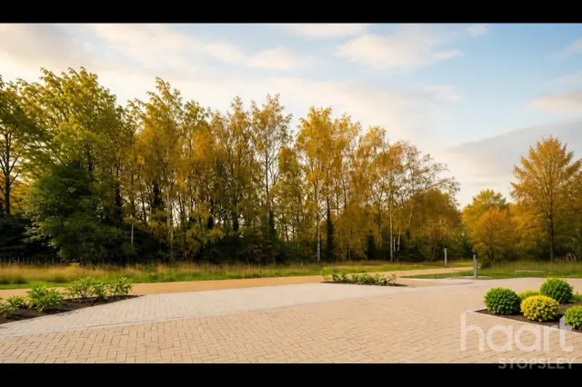 Lewin Park, photo 2