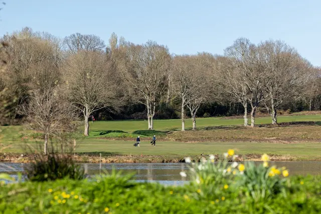 The Bluebells, Uckfield, East Sussex