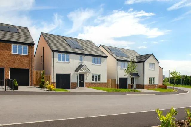 Darach Fields, Robroyston, Glasgow — photo 1