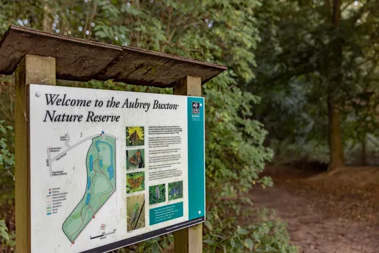Elsenham Brook, Bishop's Stortford, Hertfordshire — photo 1