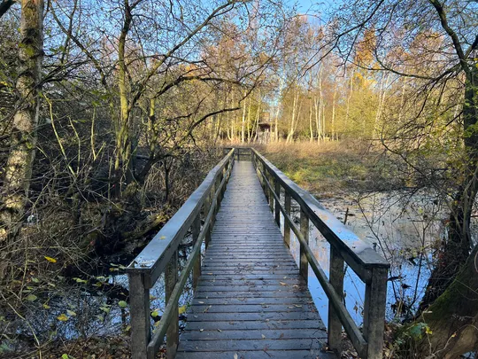 Potteric Edge, Doncaster, Yorkshire — photo 1