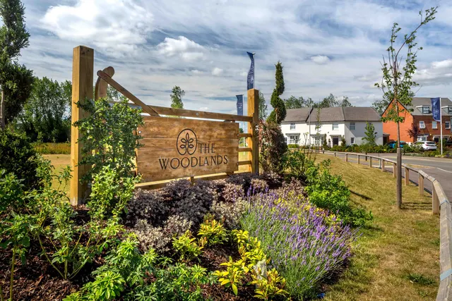 David Wilson Homes The Woodlands, photo 3