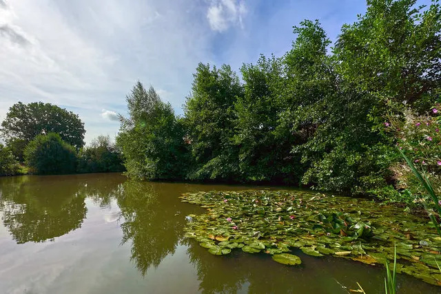 Boorley Park, Boorley Green, photo 3