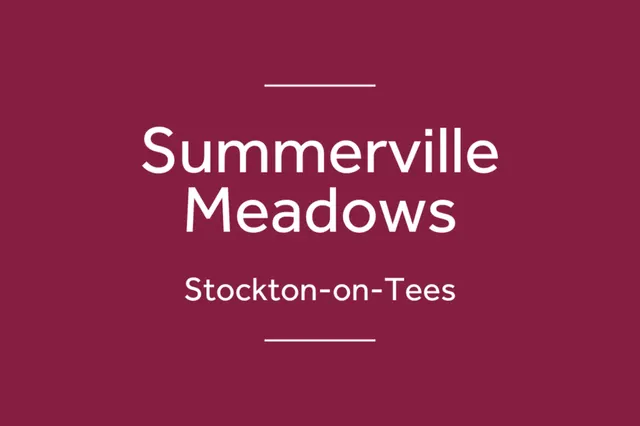 Summerville Meadows, photo 3