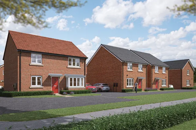 The Meadows at Woodland View, photo 3