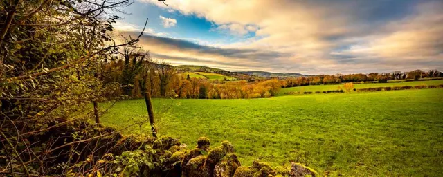 Bryn Castell, Mold, Flintshire