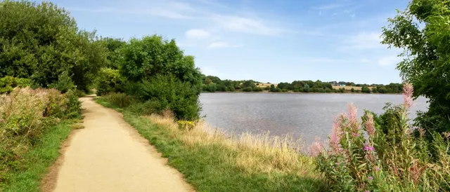 Meadow Vale, photo 3