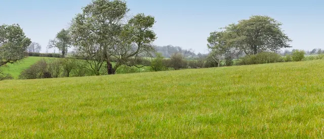 Silverbrook Meadow, Webheath, photo 2