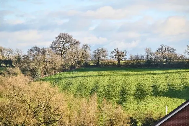 Hamilton Copse, photo 3