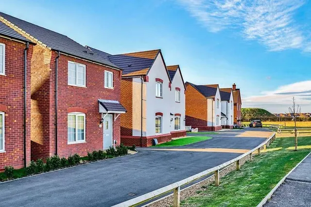 Meadow Green, photo 3