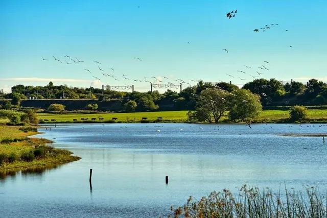 Millstream Meadows, photo 3