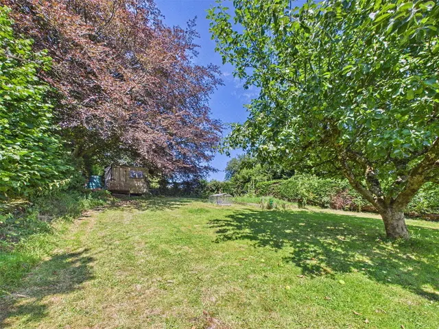 Black Torrington, Beaworthy, EX21, photo 2