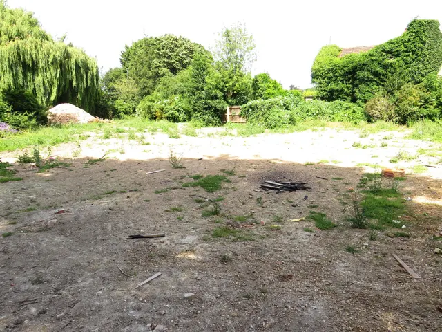 Nene Parade, March, photo 1