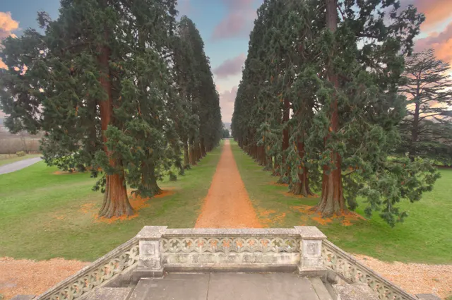 Royal Earlswood Park, RH1, photo 1