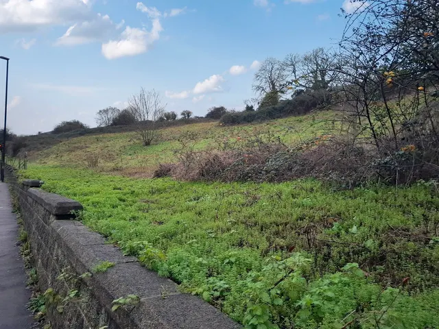 Bare Land, Wellsway, BA2, photo 3