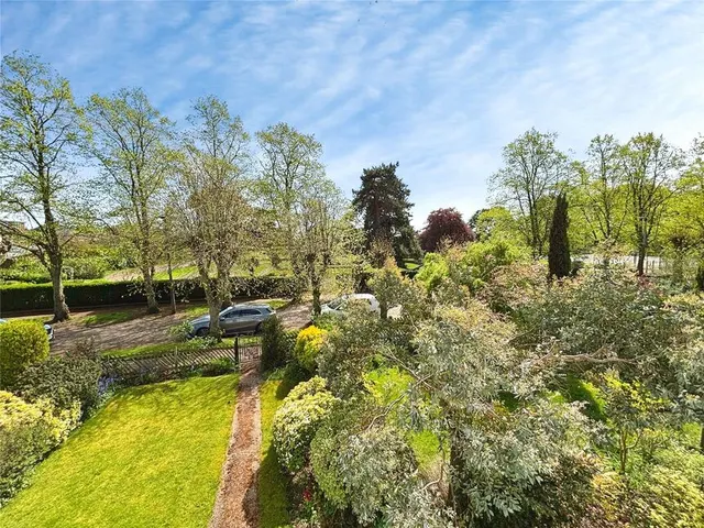 The Grove, Wheatley Hills, DN2, photo 2