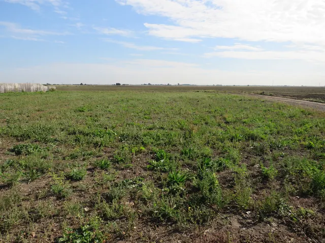 Whittlesey Road, March, PE15, photo 3