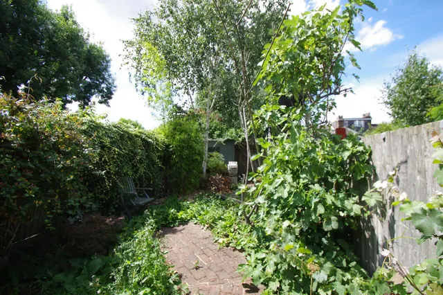 Watford, WD17, photo 3