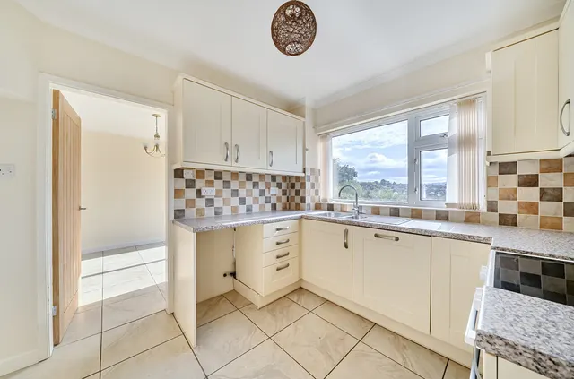 Bryn Meadows, Newtown, photo 3