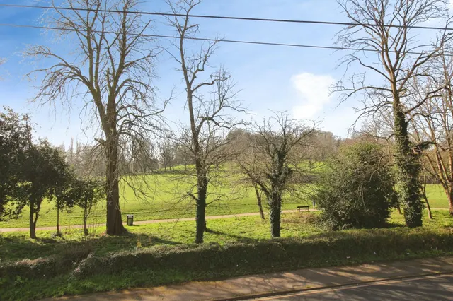 Park Avenue, Thornes, WF2, photo 3