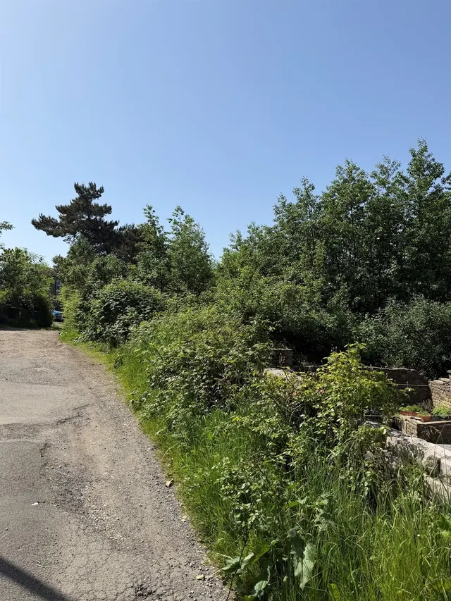 Occupation Road, Newsome, Huddersfield, photo 1