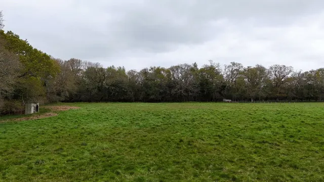 Photo 3 — Cowpitts Lane, Ringwood, Hampshire, BH24 3JX