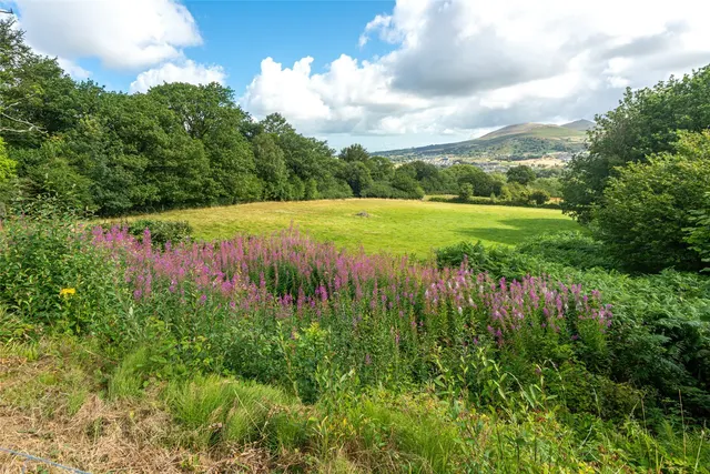 Coed Y Parc, Bethesda, photo 2