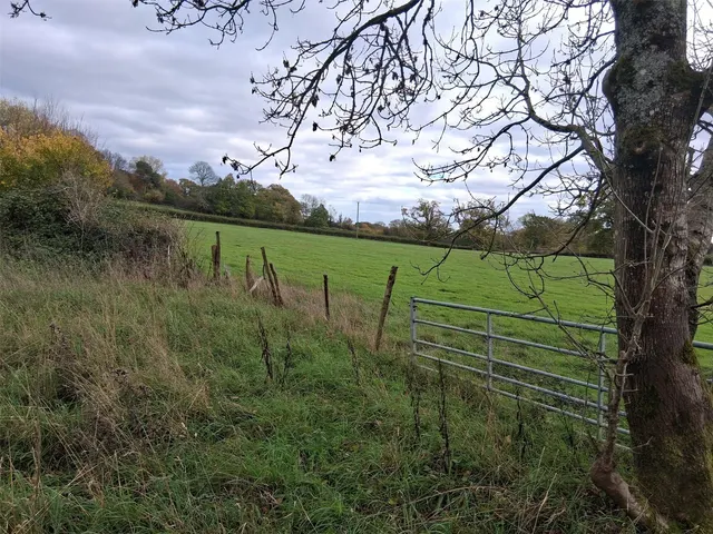 Friday Street, Ockley, RH5, photo 3