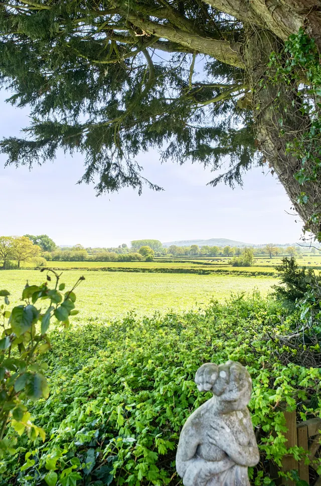 Photo 2 — East Orchard, Shaftesbury, Dorset, SP7 0LW