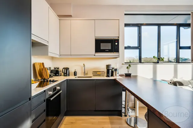 Albert Drive, Woking, GU21, photo 3