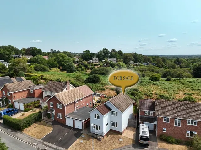 Hornbeam Way, Wimborne, BH21, photo 1
