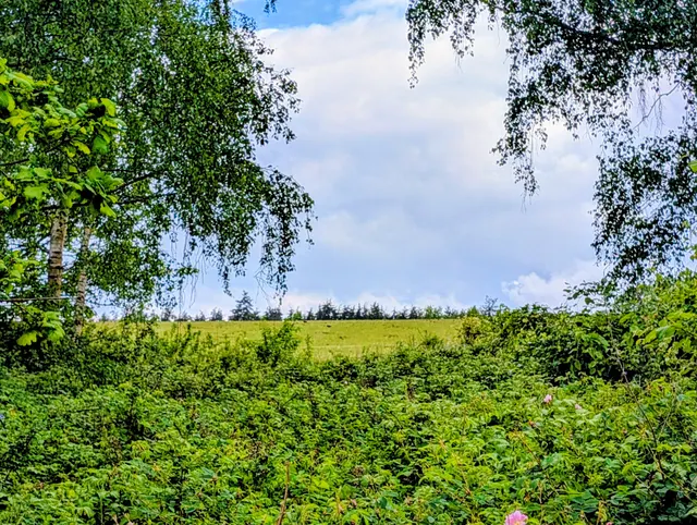 The Street, Stedham, GU29, photo 2
