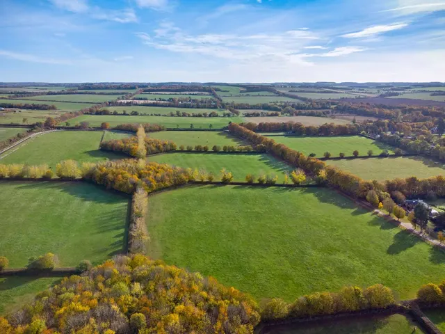 Photo 2 — Bottisham Heath Stud, Six Mile Bottom, Newmarket, Cambridgeshire, CB8 0TT