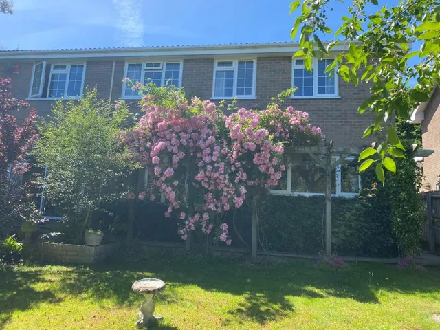 Pine Tree Close, Wimborne, BH21, photo 2