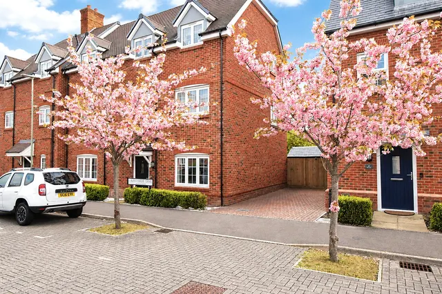 Runnymede Drive, Odiham, Hook, Hampshire, RG29 1FP, photo 1
